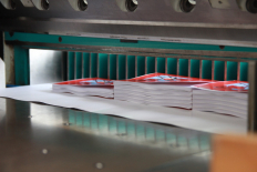 Спринт пресс 1 Спринт пресс 1